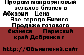 Продам мандариновый сельхоз-бизнес в Абхазии › Цена ­ 1 000 000 - Все города Бизнес » Продажа готового бизнеса   . Пермский край,Добрянка г.